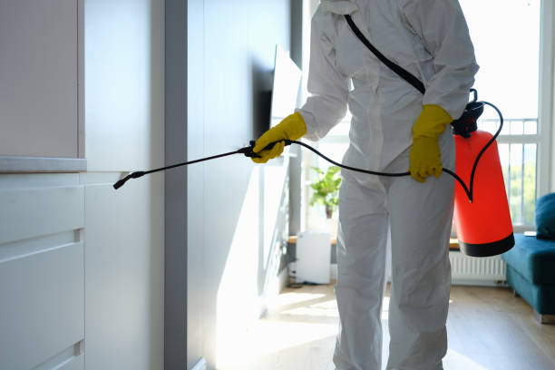 Best Residential Mold Remediation in Fort Smith, AR